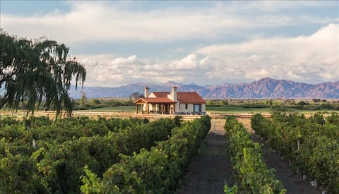House with a pool in Estancia de Cafayate