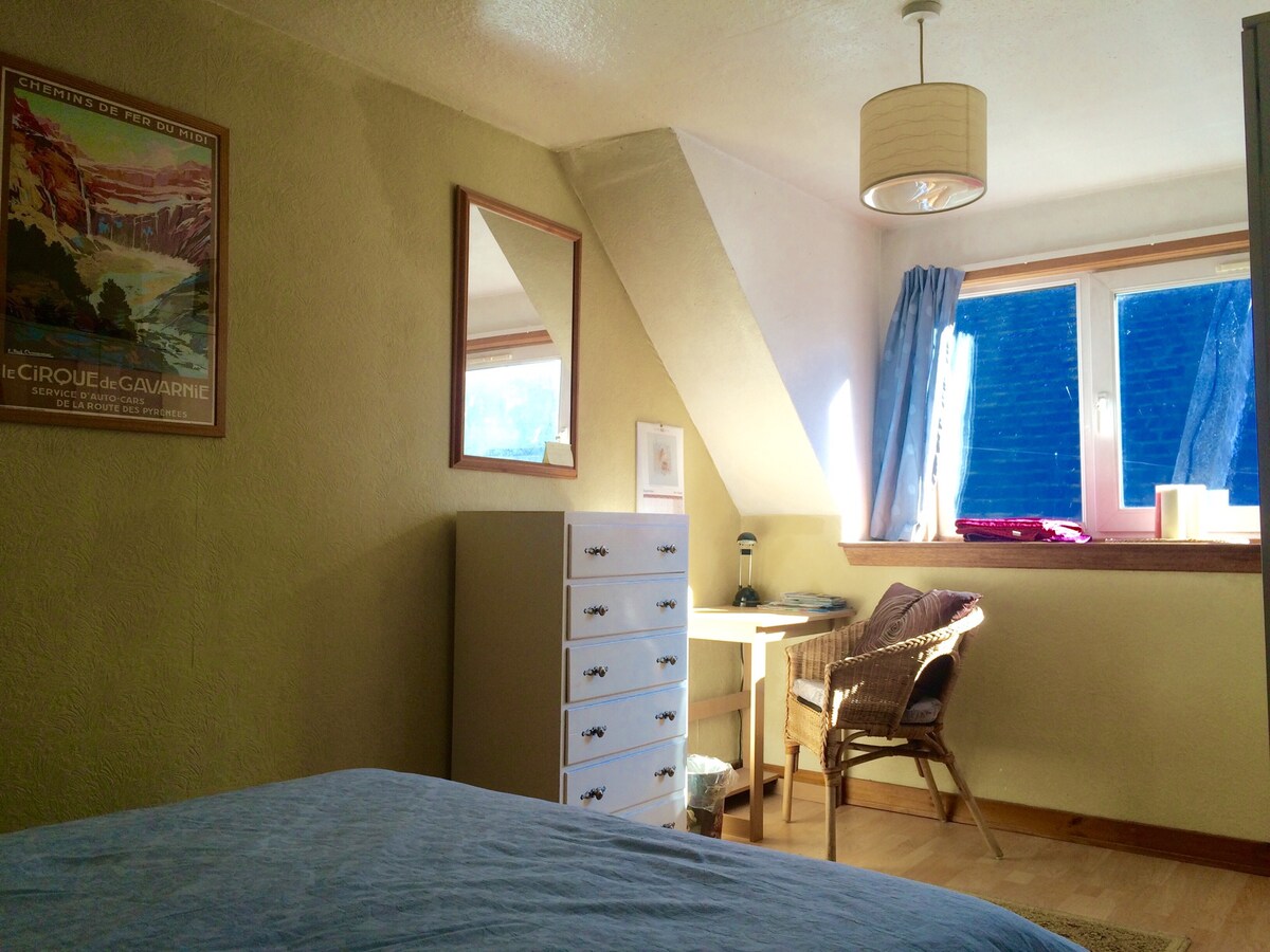 美丽明亮宽敞的双人房