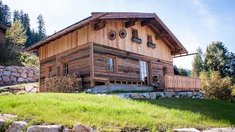 Tauernwelt Chalet Hochkönigblick Ski-in/Ski-out