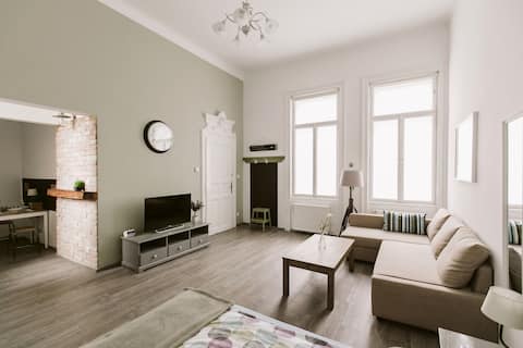 Beautiful spacious apt in Budapest's very heart