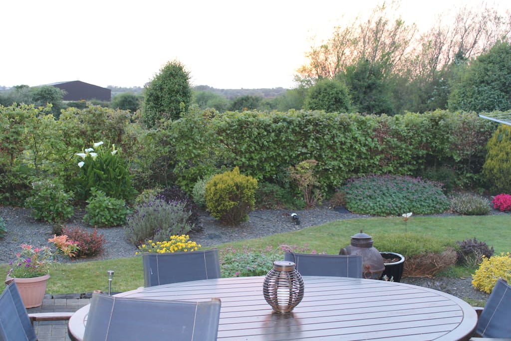 Patio and Garden