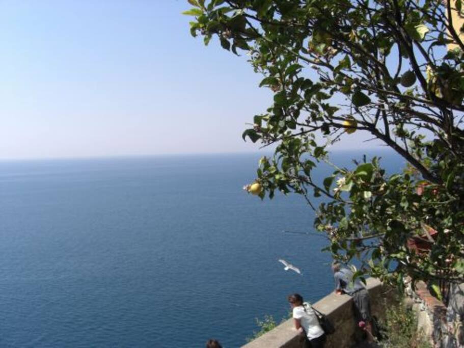 open view from terrace