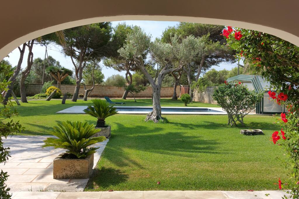 Zona jardín y piscina