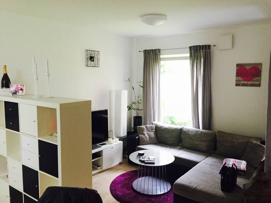 living room (Couch useable for sleep)
