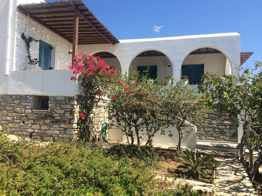 Front-house and garden view