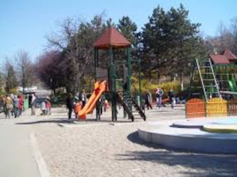 Playground in the Central Park