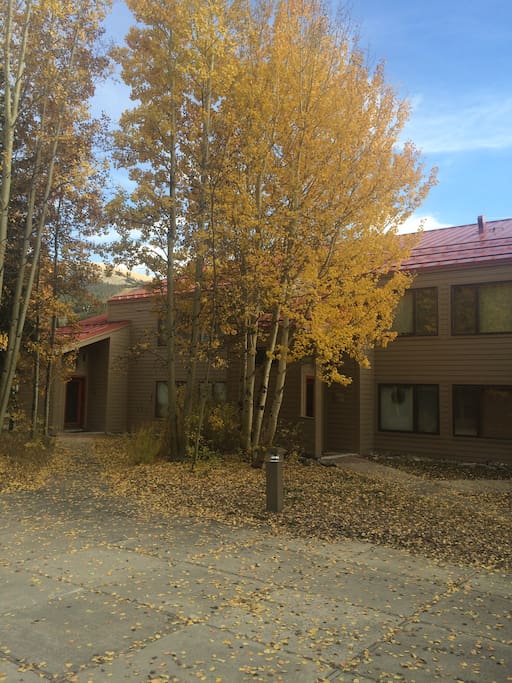 Fall views from the livingroom