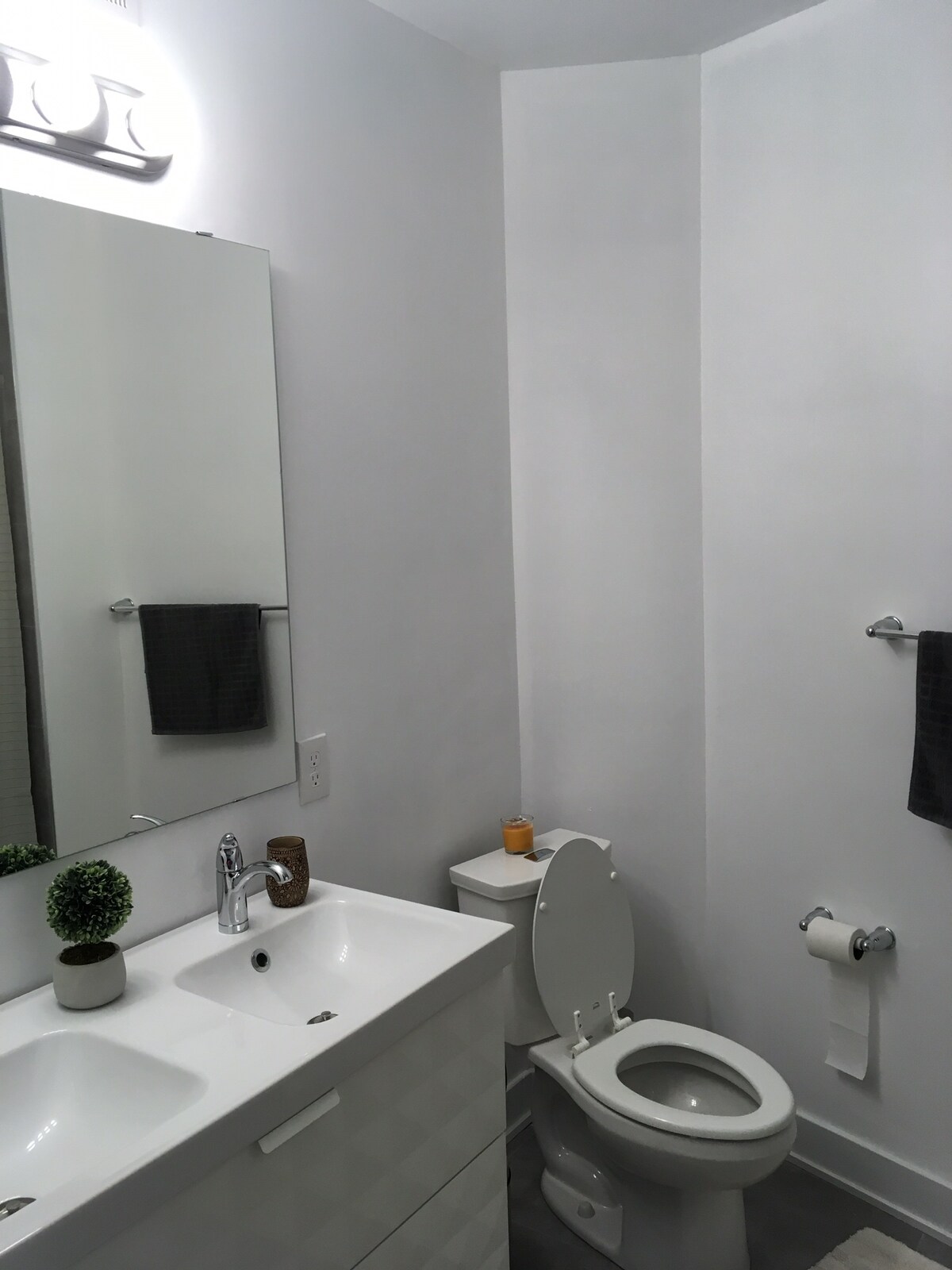 A clean and modern bathroom is presented with a rectangular mirror above a white vanity, featuring dual sinks. Fresh towels hang on the side, and a small plant adds a touch of greenery. Fixtures are polished chrome, and natural light illuminates the space.