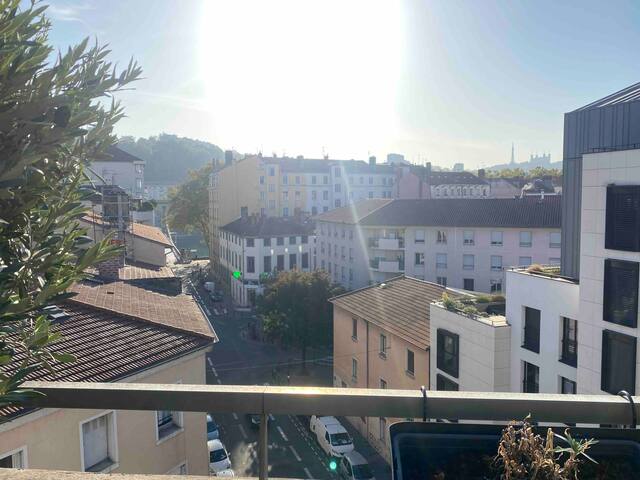 Toit terrasse 4 chambres Lyon 9