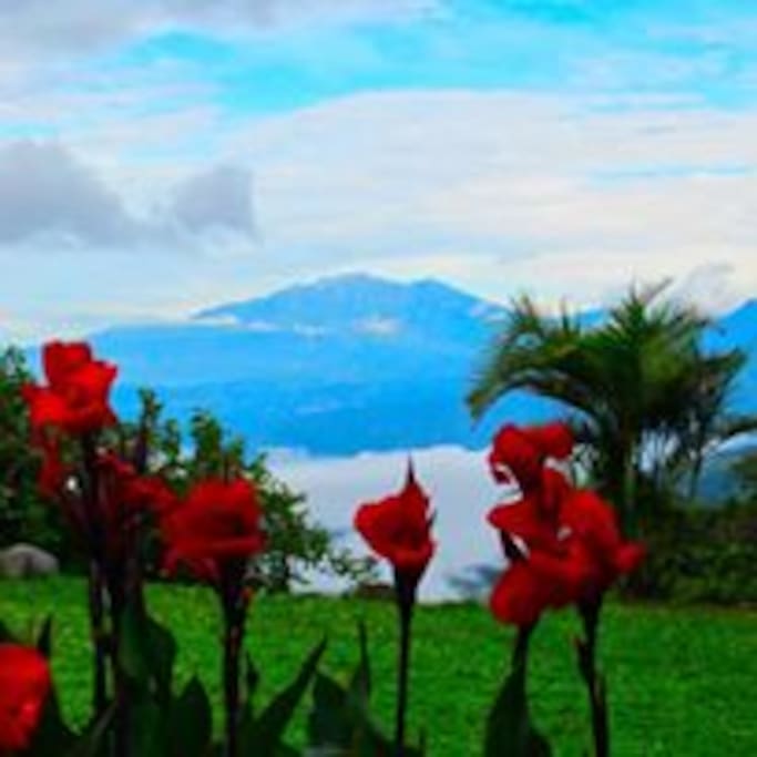 Volcan Baru, view from the garden