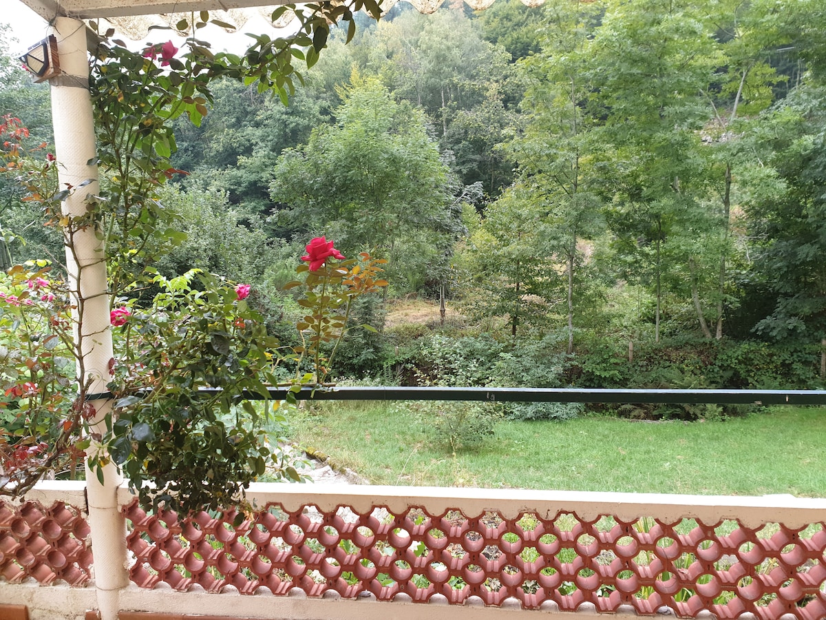 The exterior view features a rustic lattice wall adorned with climbing roses, framing a serene landscape of greenery and trees. A glimpse of the natural surroundings is visible, providing a peaceful backdrop just beyond the porch area.