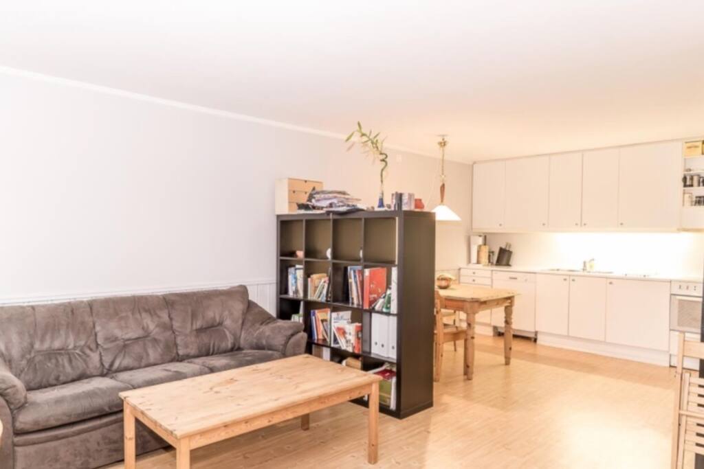 Livingroom/kitchen