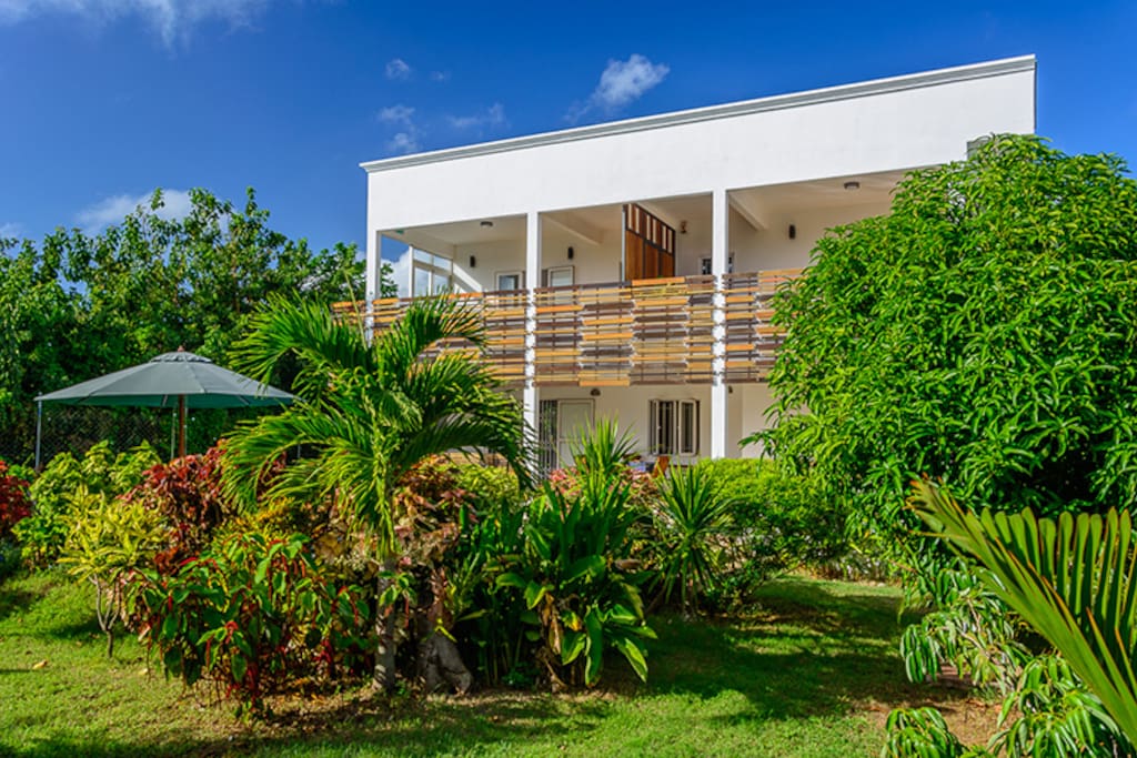 Au cœur d'un jardin tropical en perpétuel changement