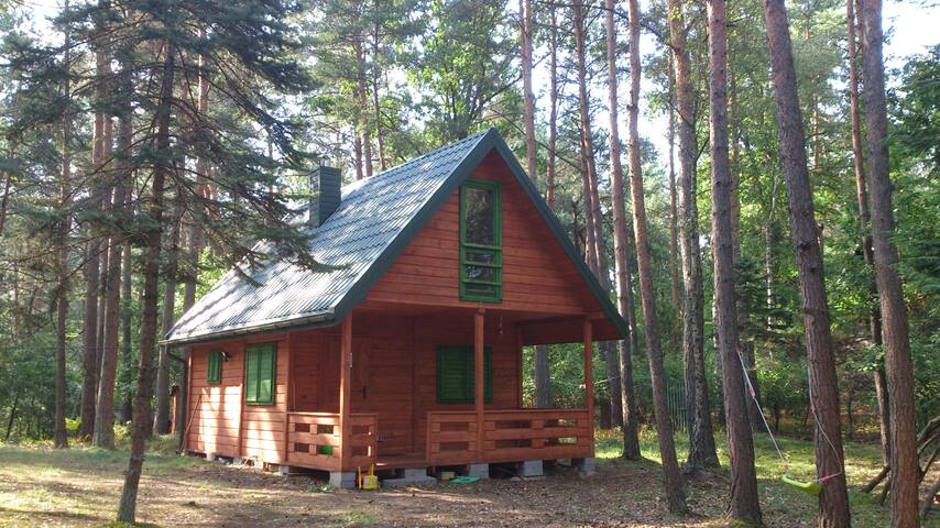 Wilga - charming house in the forest only 45 km from the W-wy.