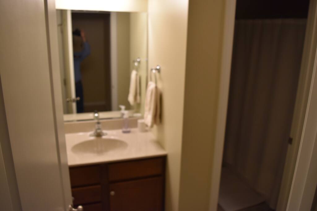 Guest bathroom 1