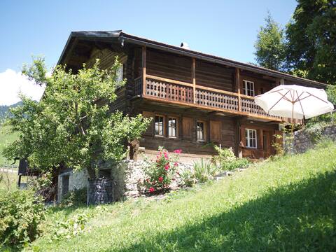 Homey wooden house with pine wood sauna