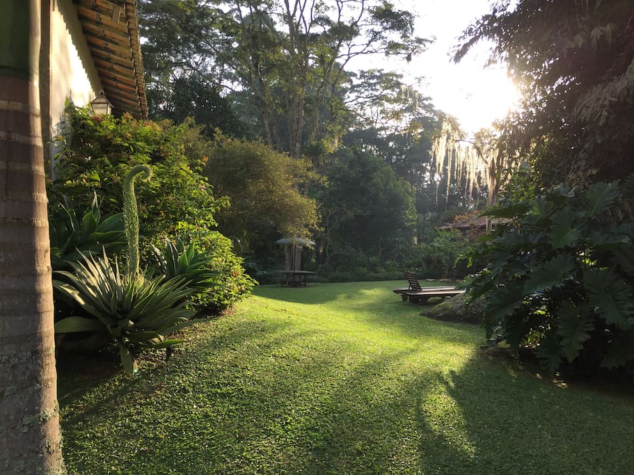 Garden near the pool