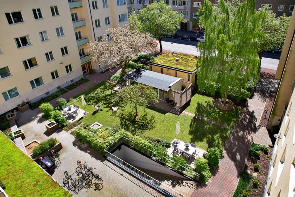 The beautiful garden of the association.