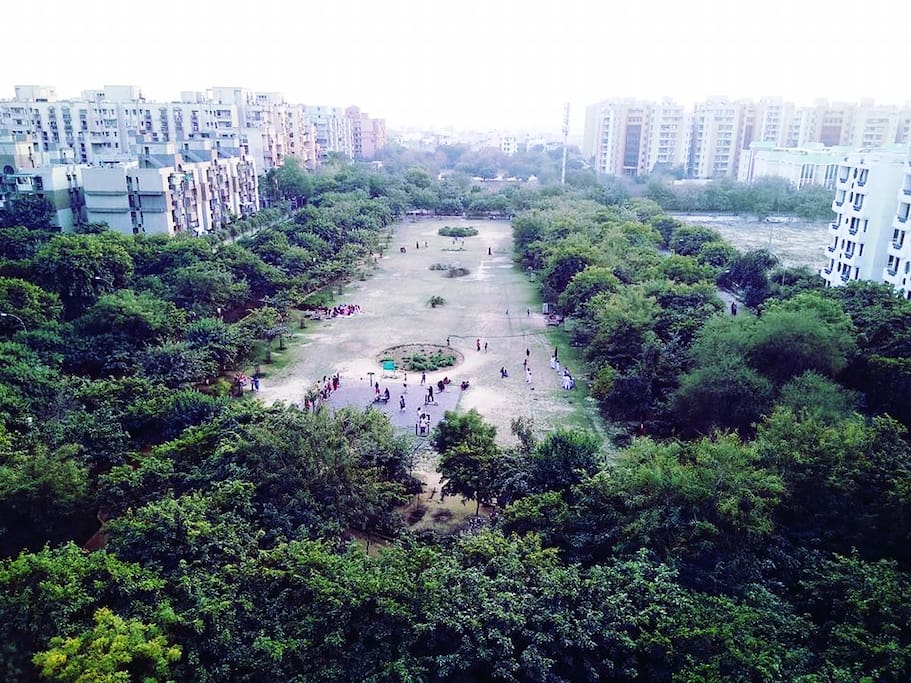 Balcony View