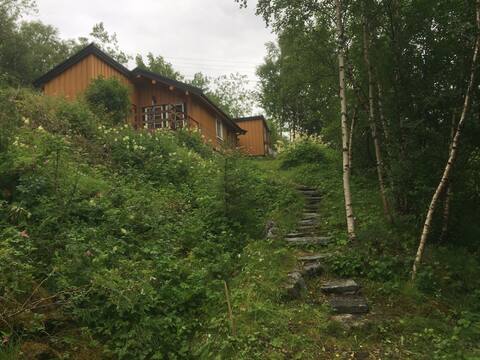 Blockhütte in der Nähe des Zentrums von Leinesfjord, Steigen