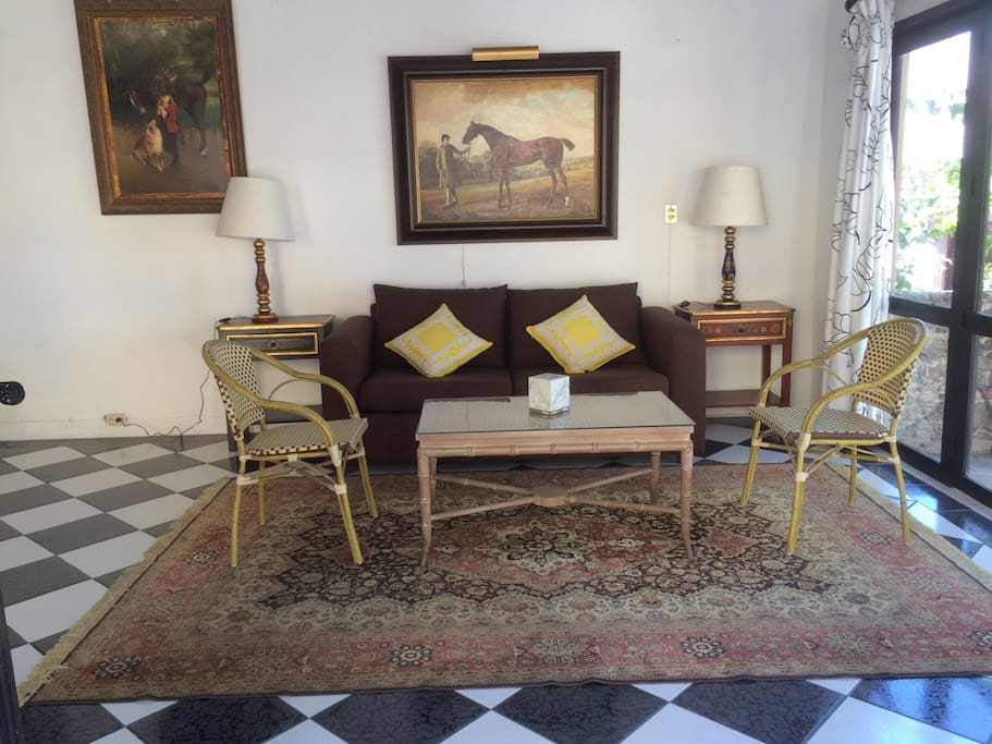 Sitting room with sofabed