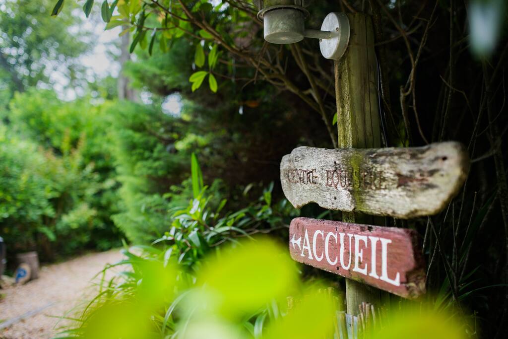 Environnement luxuriant