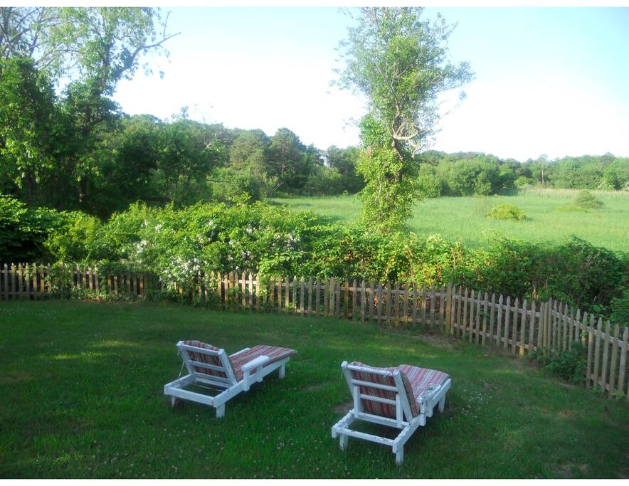 backyard - old photo chairs no longer exist