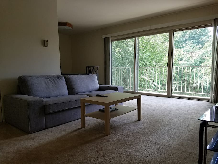 The couch