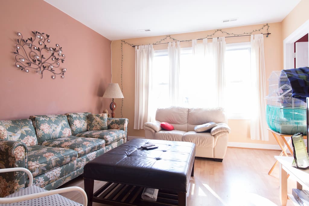 Living room with couches and TV, as well as lovely windows. The padded ottoman can be pushed adjacent to the white couch for to create a pseudo full bed :)