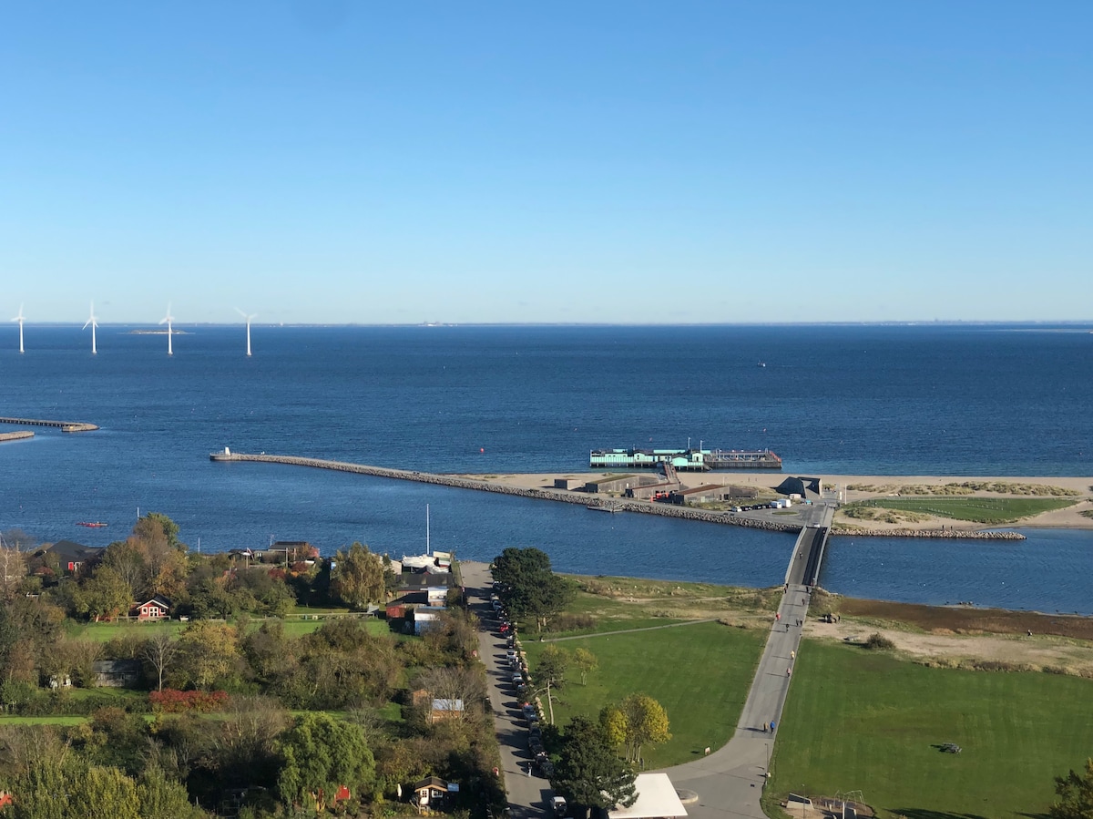 Picture of A Scandinavian Penthouse Apartment With A Dark Green Kitchen