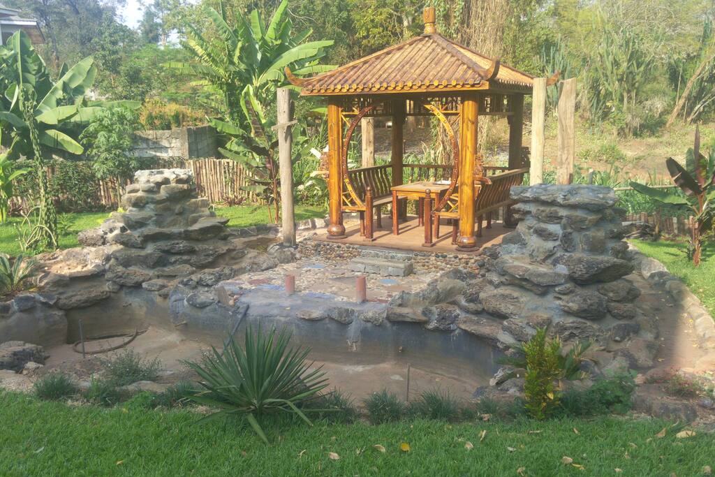 Fountain on the backyard