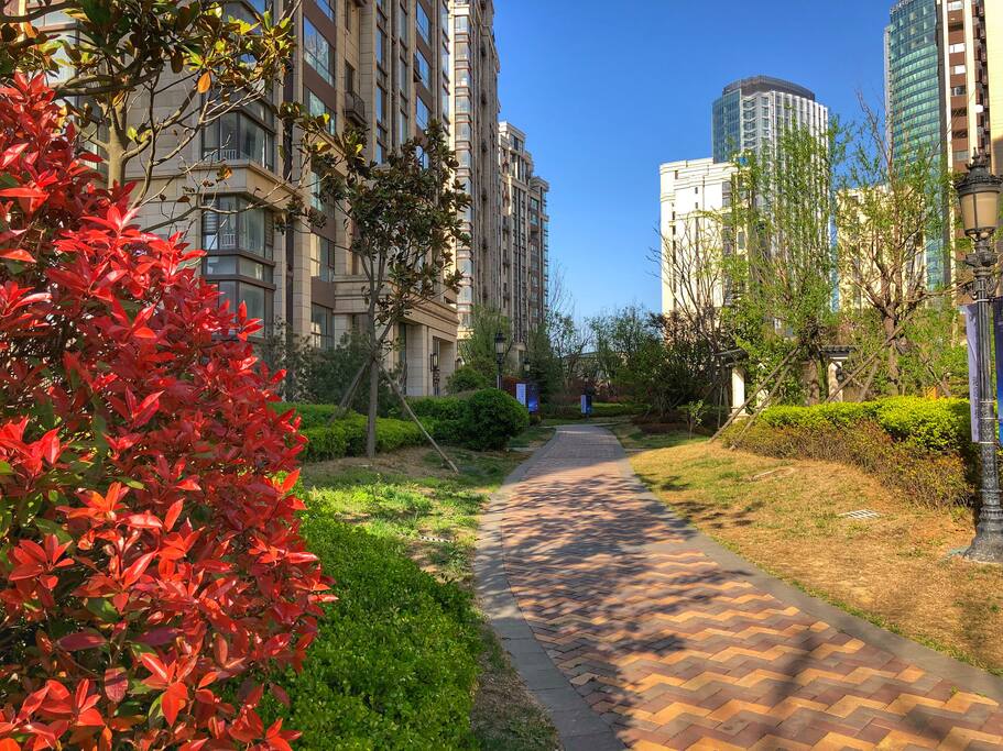 小区环境