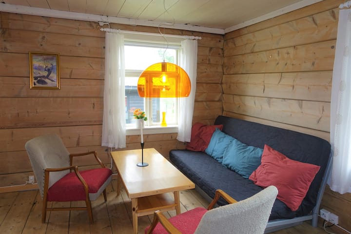 Salon avec canapé-lit