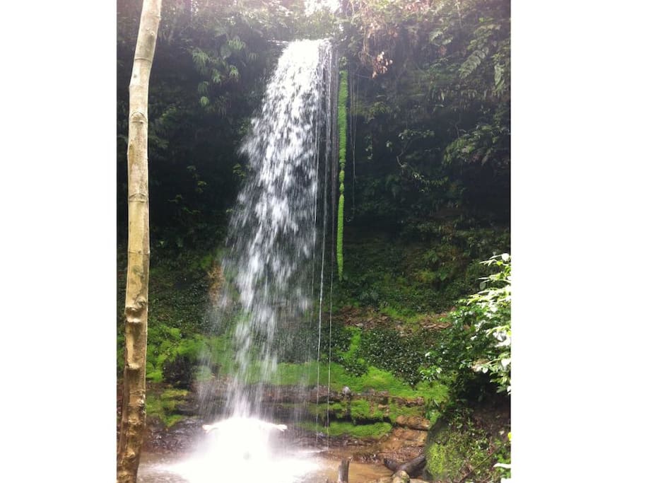 TRILHA PARA CACHOEIRA DO JAMACA
