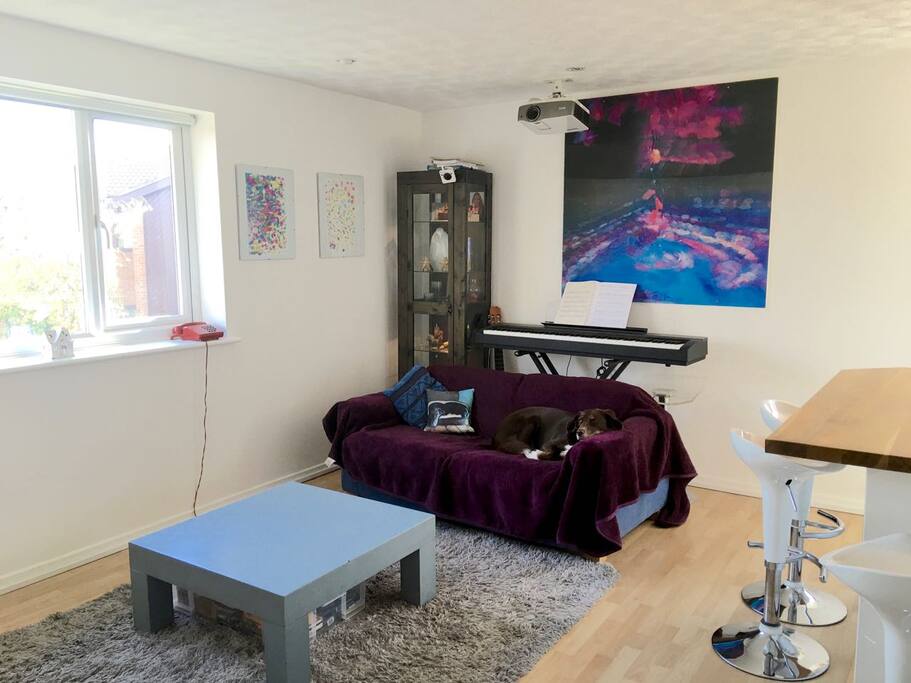 The dog is not included! But your well behaved pet is welcome.