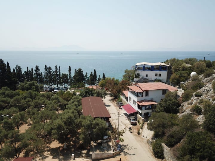 bodrum mazı köyü satılık ev