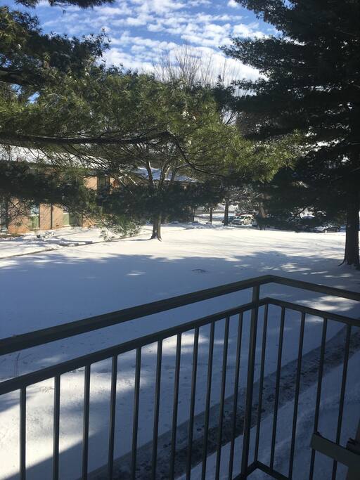 View from patio