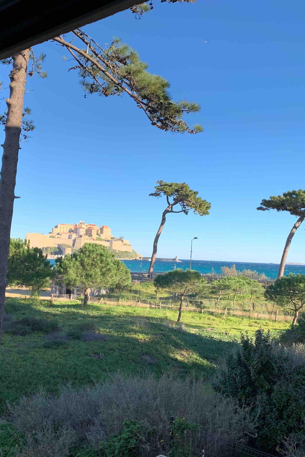 A scenic view captures a historic citadel overlooking the sea, framed by tall pine trees. The landscape features lush green grass and a clear blue sky, providing a serene coastal atmosphere.
