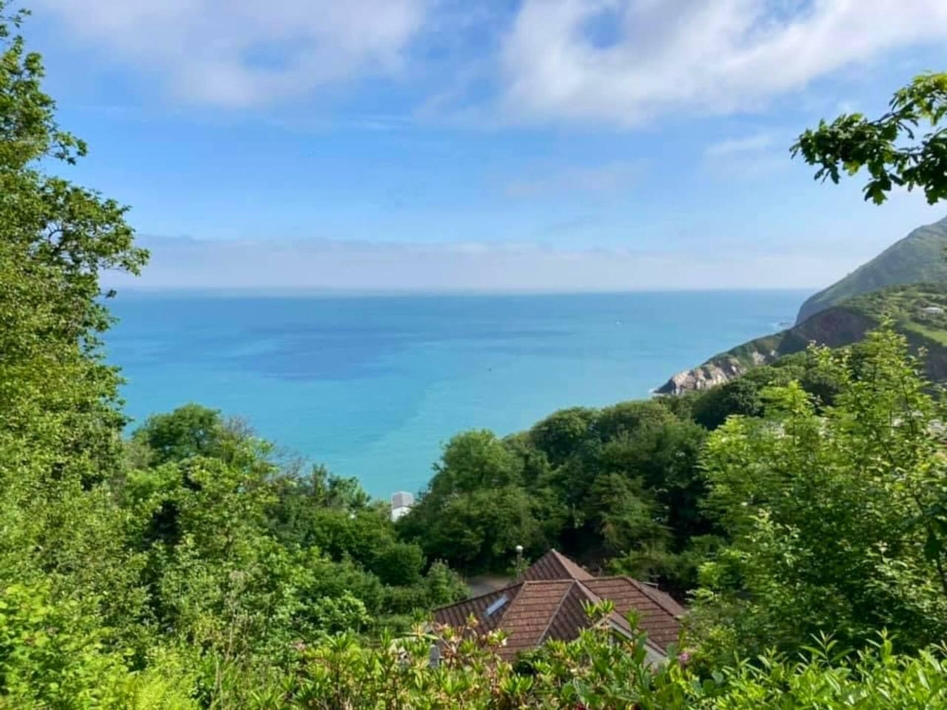 Sea View, Near Beach, 1.5 Acre Garden Dog Friendly