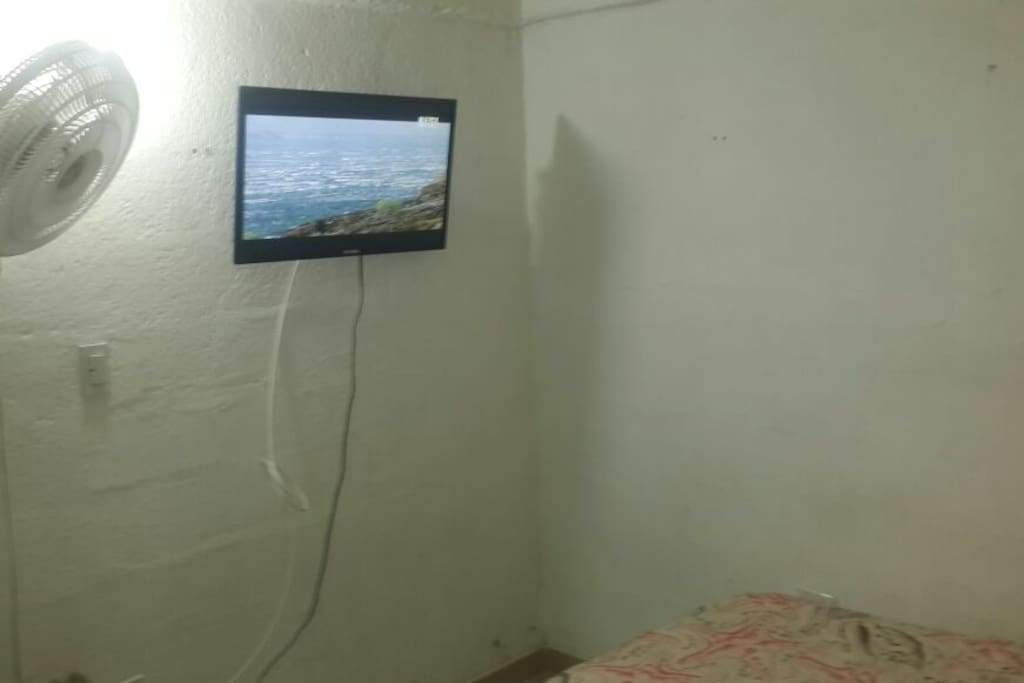 Television and fan
