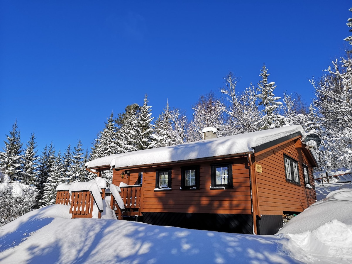 A wooden cabin is nestled in a snowy landscape, surrounded by tall evergreen trees. Fresh snow blankets the roof and ground, creating a serene winter scene. The cabin features a welcoming deck and several windows allowing for natural light.