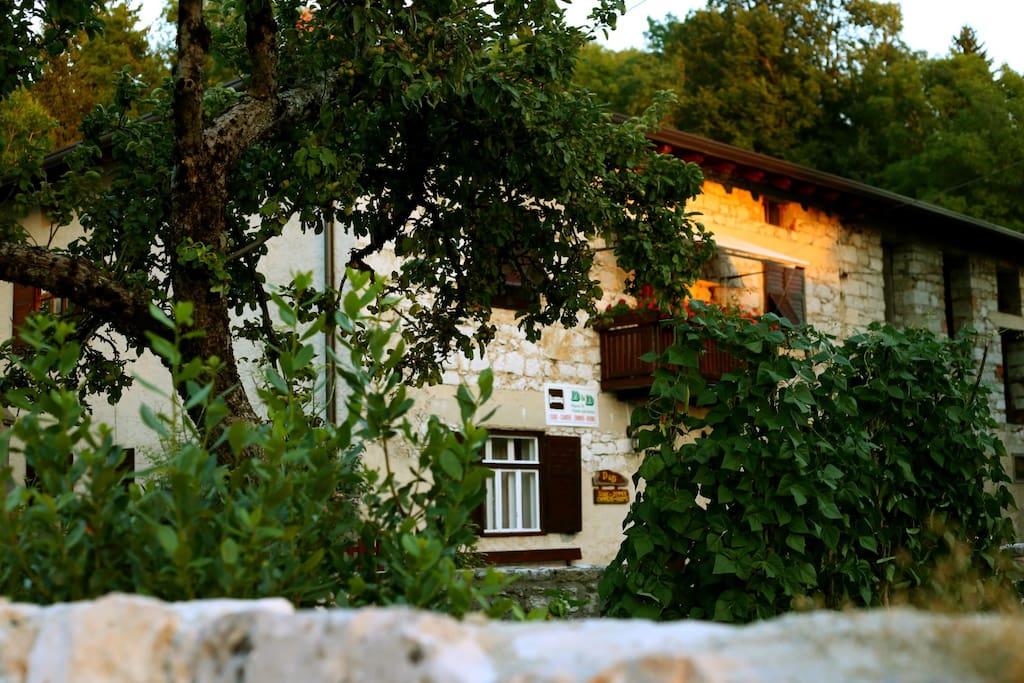 Outside view