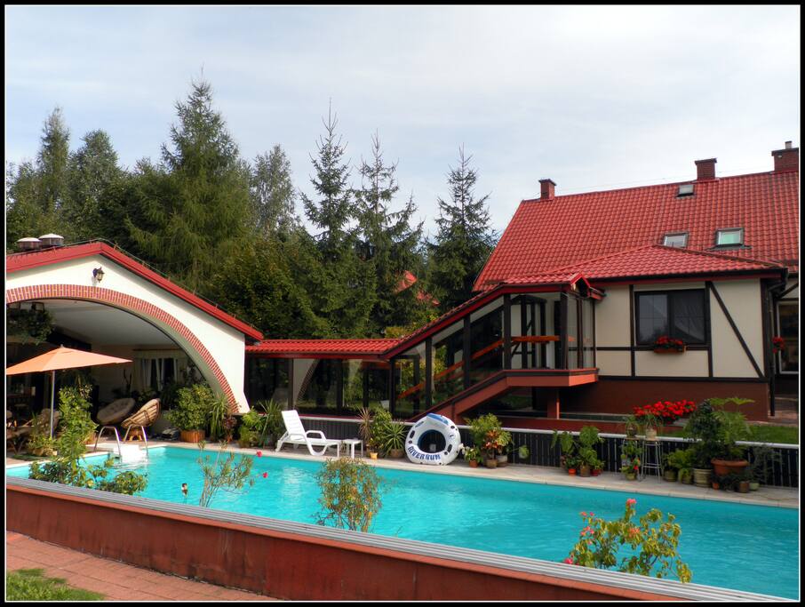 odkryty basen wśród drzew