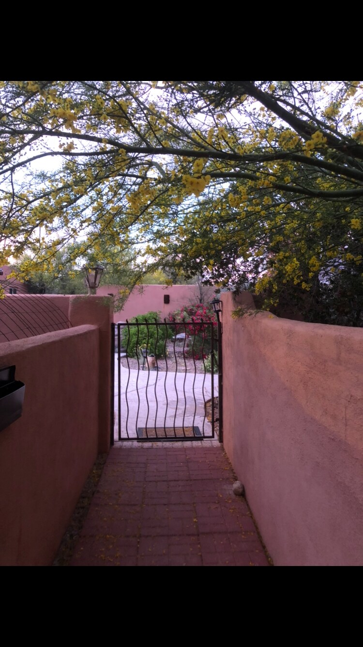A pathway leads through a decorative wrought iron gate, framed by blooming yellow trees. This inviting entrance showcases a glimpse of a serene courtyard with lush foliage and vibrant flowers, set against soft earth-toned walls.