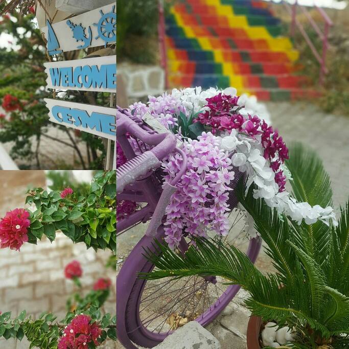 Bahce konsepti on planda olan sirin bir aile pansiyonu