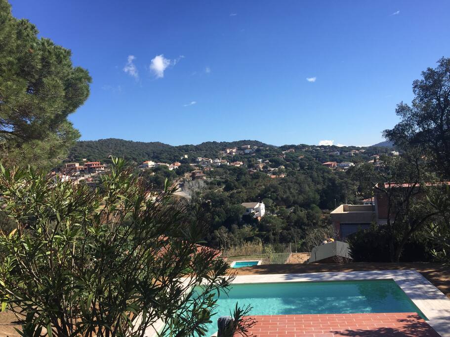 Vue sur la piscine et la pinède