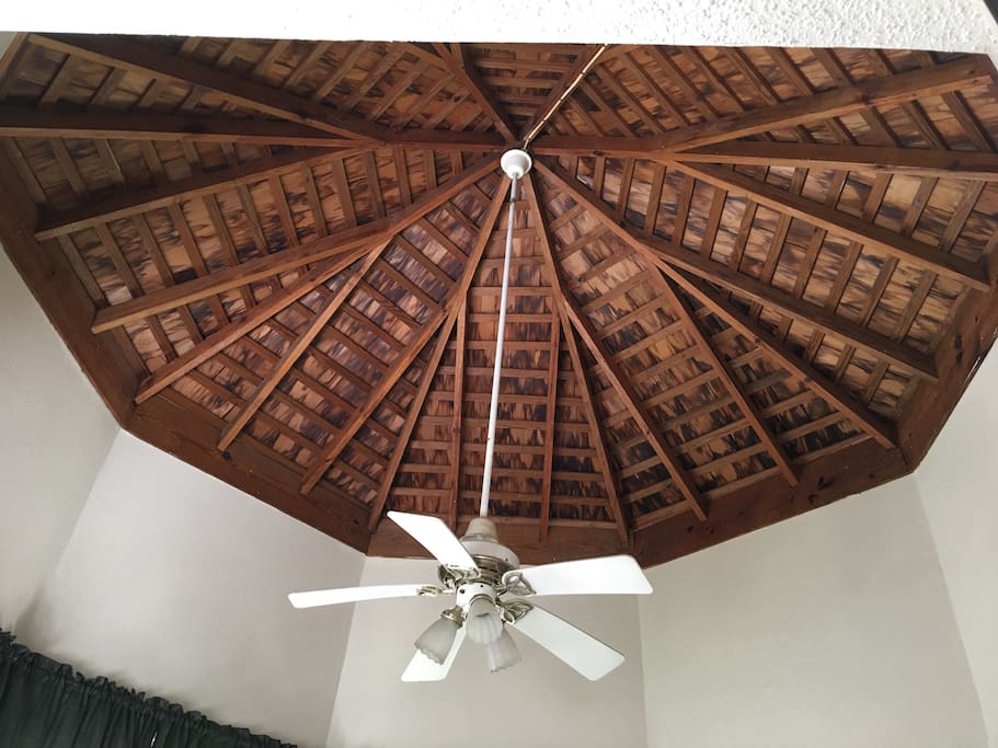 Vaulted Ceiling in master bedroom