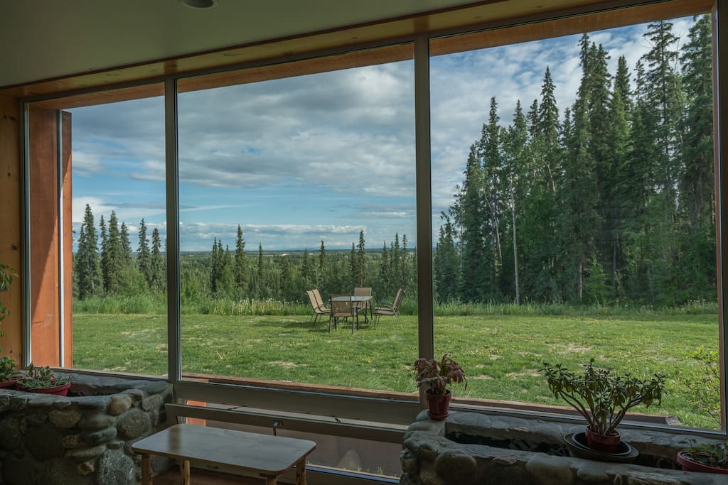 View out of the living room in the summer.