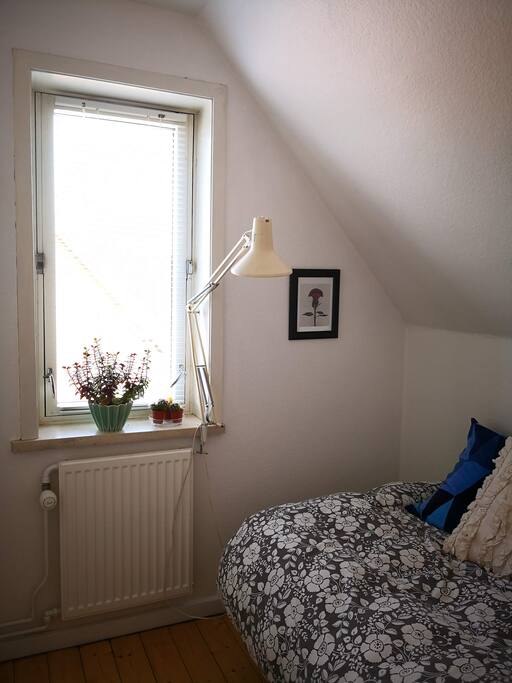 A small bedroom with a single bed.