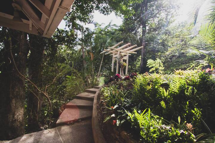 Bayview Cottage Cottages For Rent In Castara Western Tobago